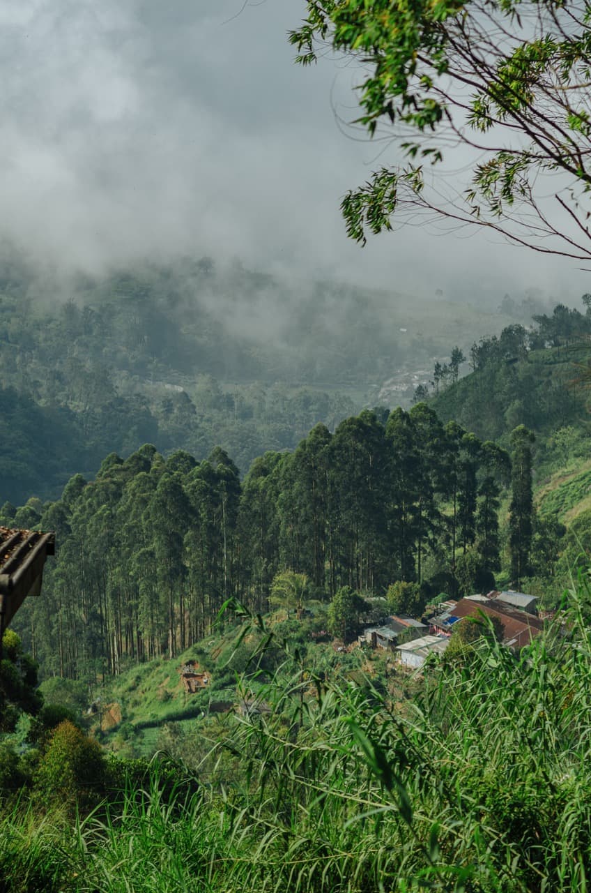 Превью Sri Lanka 2022